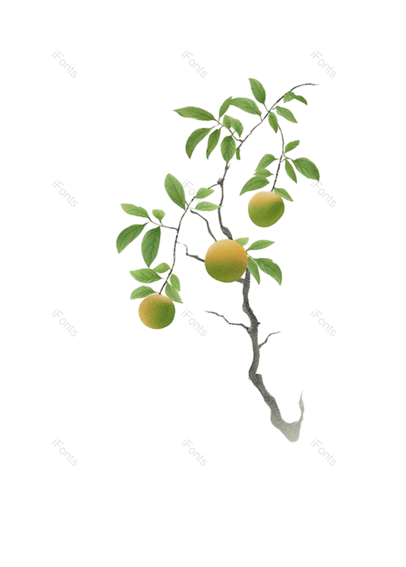 叶子图片,芒种元素,树叶PNG,绿色免抠素材